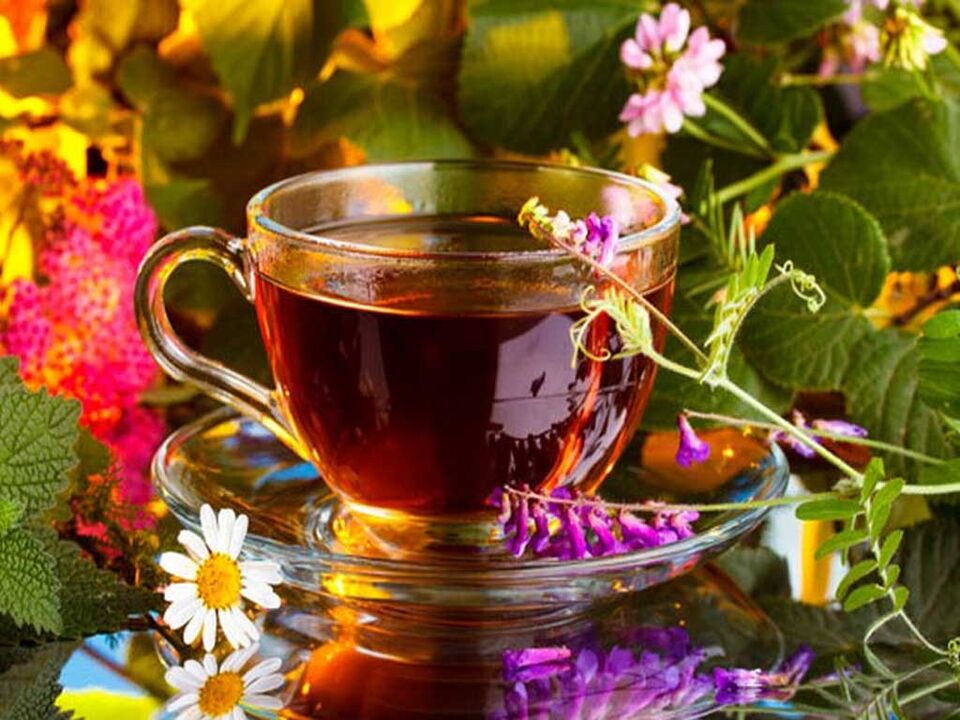 Infusioak eta dekozioak